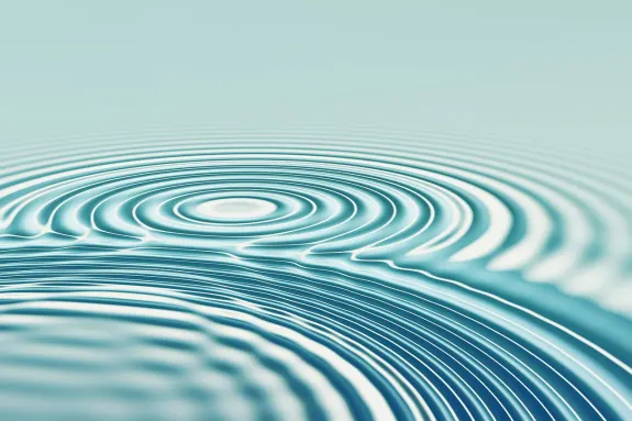 BetBeard Kasyno Wsparcie